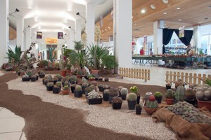 Eurocactus - Esposizione Internazionale di Cactus e Succulente - 14° edizione